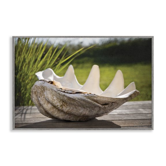 Stupell Industries Sea Treasure Shell Gray Framed Giclee Art, design by Seven Trees Design