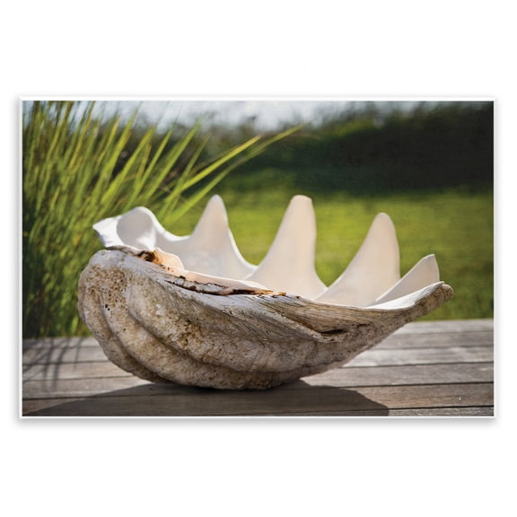 Stupell Industries Sea Treasure Shell Wall Plaque Art, design by Seven Trees Design