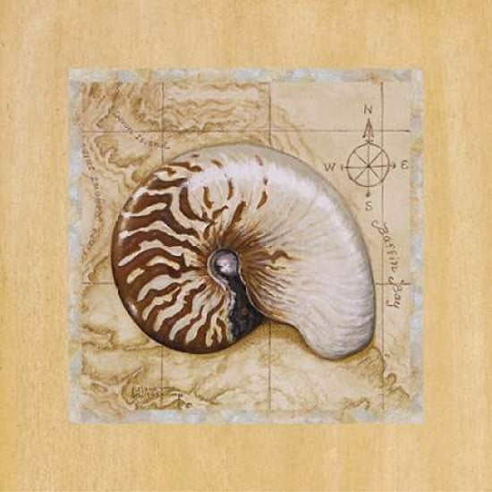 Sea Treasures II Canvas Art - Janet Kruskamp (24 x 24)