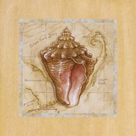Sea Treasures III Canvas Art - Janet Kruskamp (24 x 24)