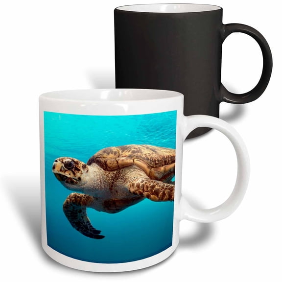 3drose, Sea Turtle, 11oz Magic Transforming Mug