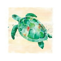 Sea Turtle, Animals Unframed Art Print Wall Art by Sara Berrenson Sold by Art.Com