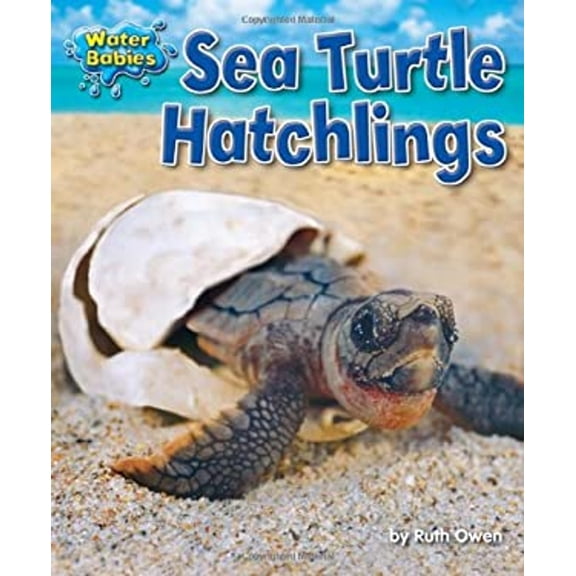 Pre-Owned Sea Turtle Hatchlings (Library Binding) 9781617726033