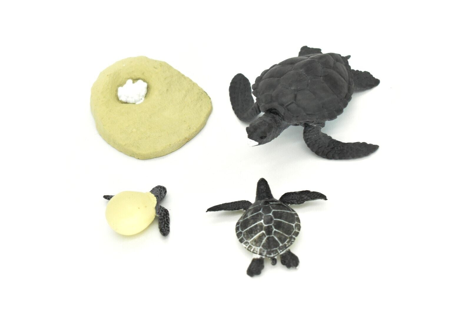 Sea Turtle, Learn the Sea Turtle Life Cycle, Very Nice Plastic Figure ...
