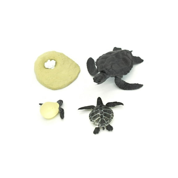 Sea Turtle, Learn the Sea Turtle Life Cycle, Very Nice Plastic Figure, Model, Realistic Replica, Educational, Figurine, Animal, Life Like, 4 Stages, 4" CH06 B231