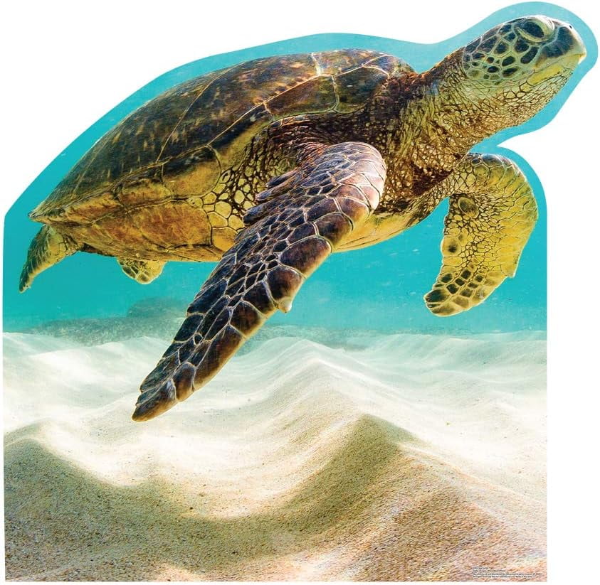 Sea Turtle Life Size Cardboard Cutout Standup Walmart sea-turtle-life-size-cardboard-cutout-standup-walmart