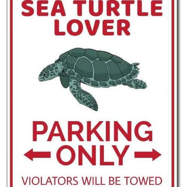 Sea Turtle Lover Sign, Sea Turtle Sign, Sea Turtle Decor, Sea Turtle ...