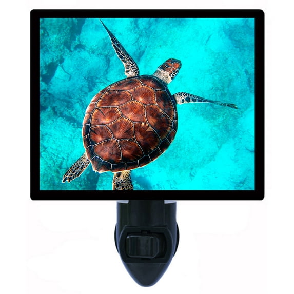 Night Light - Beautiful Sea Turtle. | Sea Turtle Theme, Includes Free Switchable Insert, 4W Bulb, E12 Base