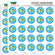 Sea Turtle Ocean Cute 50 1 Planner Calendar Scrapbooking Crafting Stickers