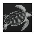 thumbnail image 1 of "Sea Turtle Reflection" - Canvas, 1 of 25