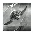 thumbnail image 1 of "Sea Turtle Reflections" - Canvas, 1 of 25