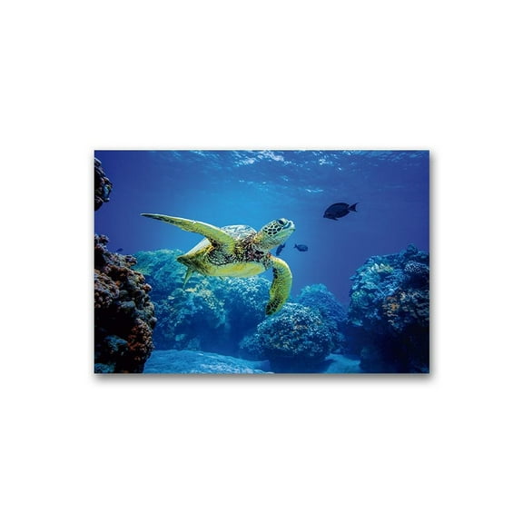 Sea Turtle Swimming In Ocean Poster -Image by Shutterstock