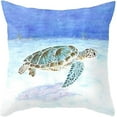 thumbnail image 1 of Sea Turtle Throw Pillow Cover Summer Ocean Theme Decor Cushion Case Super Soft Square Decorative Pillow Covers for Home Sofa Couch 18" x 18" (Turtle-6), 1 of 4