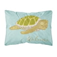 thumbnail image 1 of Sea Turtle Welcome Canvas Fabric Decorative Pillow, 1 of 3