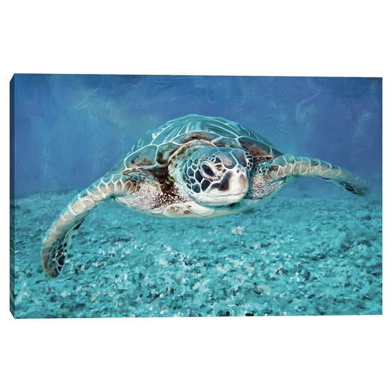 Sea Turtle by Studio Arts Canvas Art Print