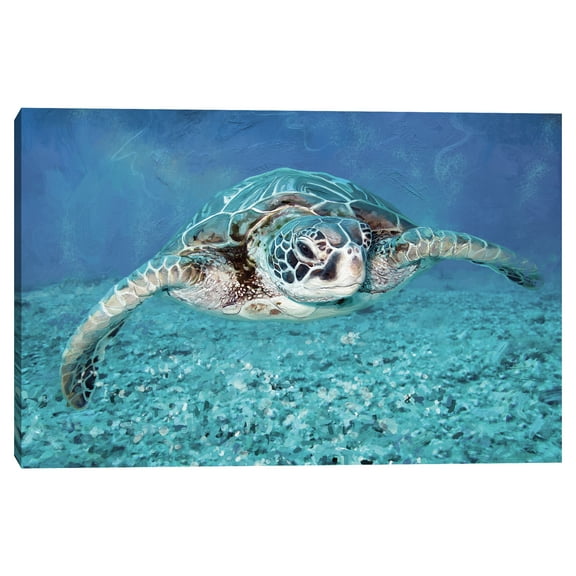 Sea Turtle by Studio Arts Canvas Art Print