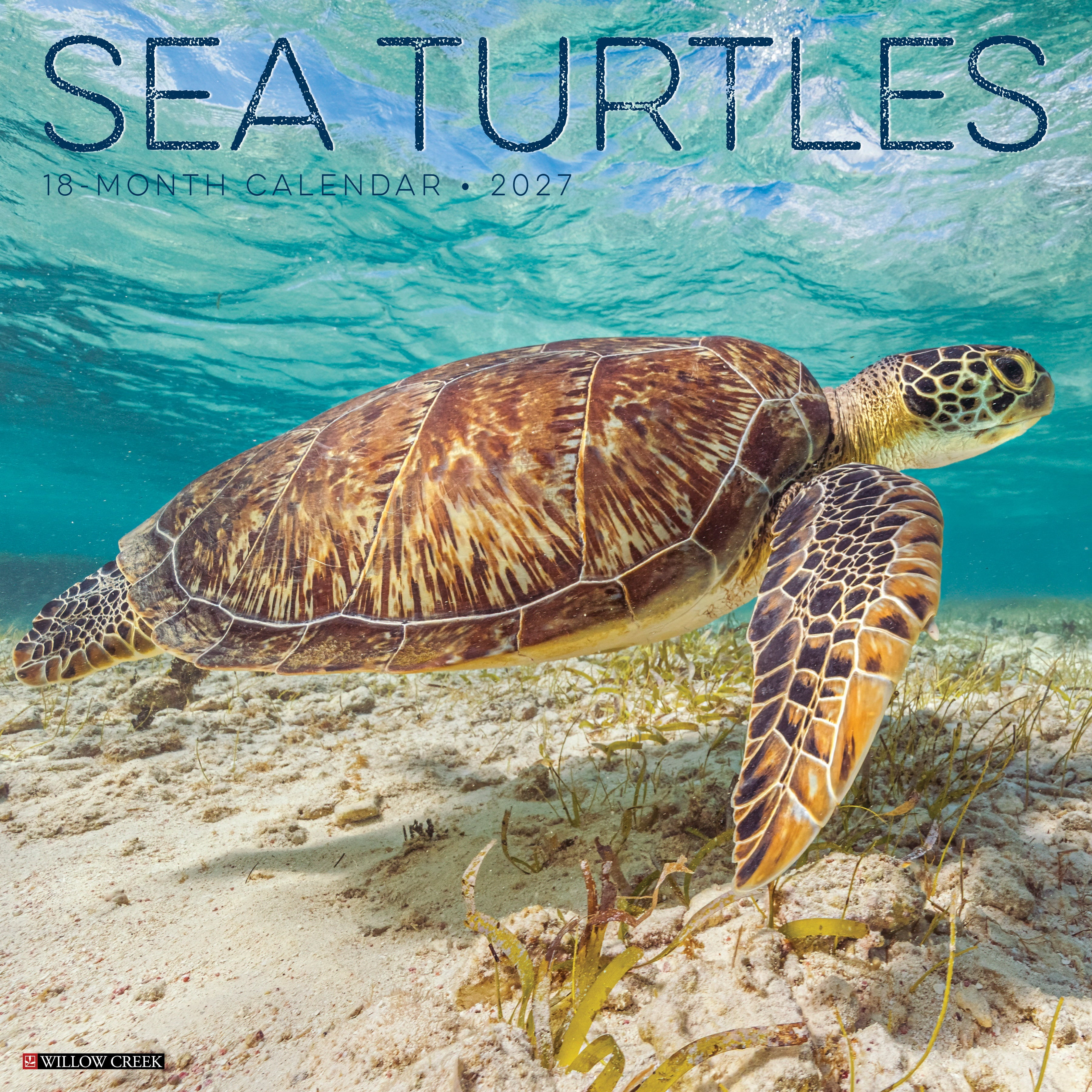 Willow Creek Press, Sea Turtles 2027 Wall Calendar