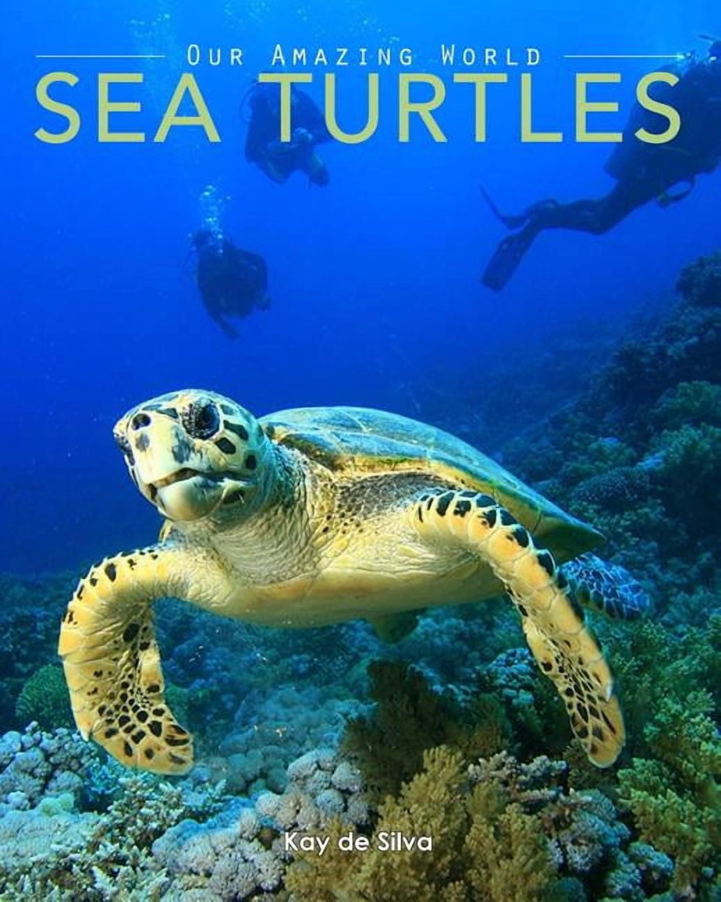 Our Amazing World Sea Turtles: Amazing Pictures & Fun Facts on Animals in Nature, Book 4, (Paperback)