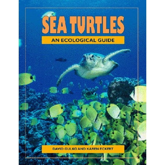 Pre-Owned Sea Turtles: An Ecological Guide (Paperback)