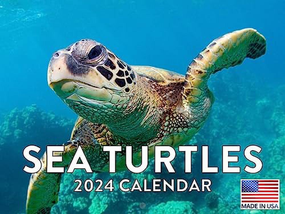 Sea Turtles Calendar 2024