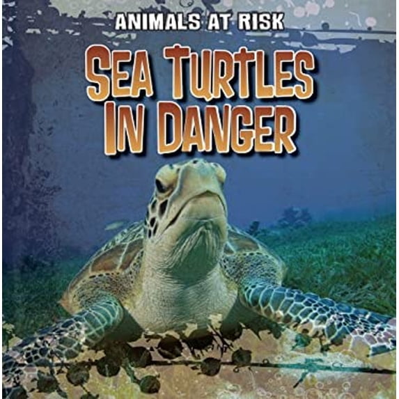 Pre-Owned Sea Turtles in Danger (Library Binding) 1433958023 9781433958021