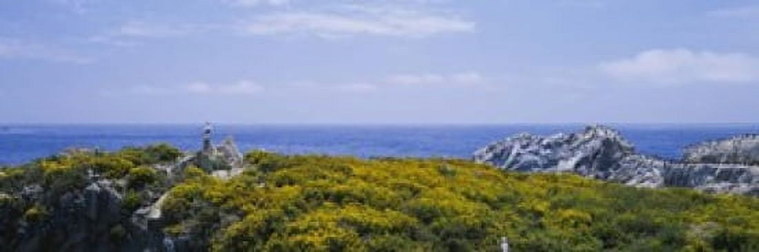 Sea gulls perching on rocks Point Lobos State Reserve Bird Island California USA Canvas Art - Panoramic Images (18 x 6)