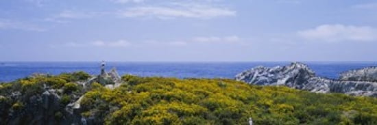 Sea gulls perching on rocks Point Lobos State Reserve Bird Island California USA Canvas Art - Panoramic Images (36 x 12)