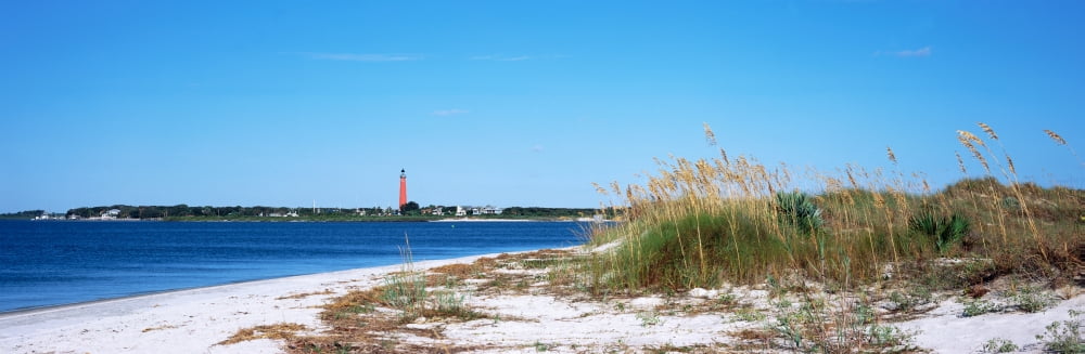 Sea oat grass on beach with Ponce de Leon Inlet Lighthouse in the background Smyrna Dunes Park Volusia County Florida USA Canvas Art - Panoramic Images (27 x 9)