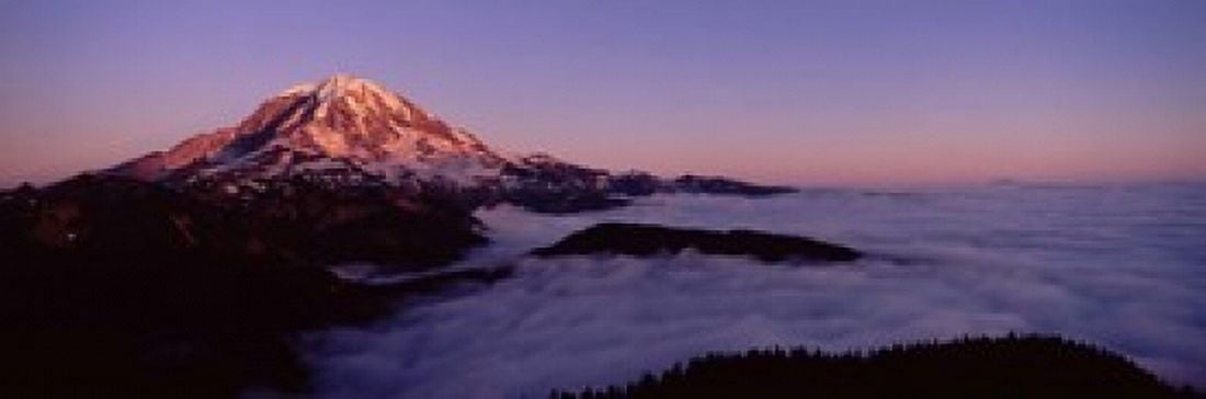Sea of clouds with mountains in the background Mt Rainier Pierce County Washington State USA Canvas Art - Panoramic Images (18 x 6)