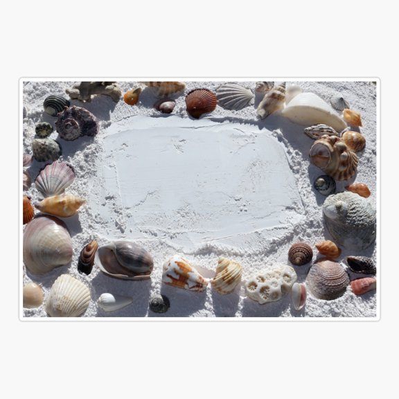 Sea shells frame Sticker