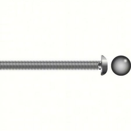 SeaChoice 00119; 1/4-20 X3 1/2 Carriage Bolt Stainless Steel 10/ Bag