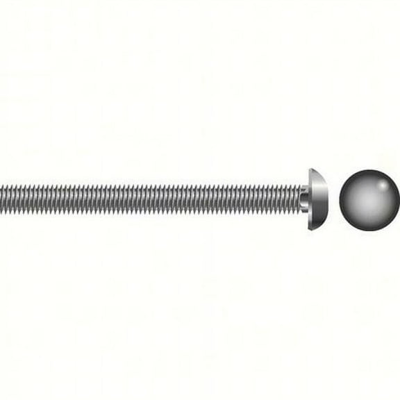 SeaChoice  00124; 1/4-20 X6 Carriage Bolt Stainless Steel 10/ Bag