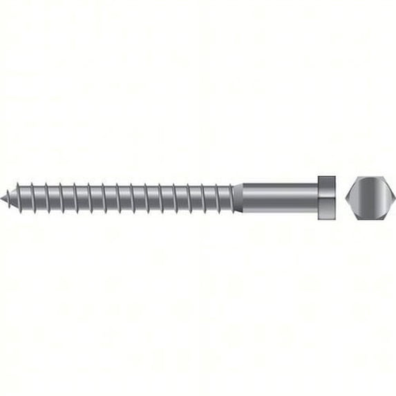 SeaChoice 00173; 5/16X1 Lag Screw Stainless Steel 25/ Bag