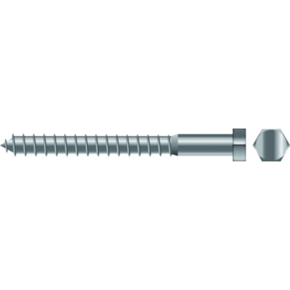 SeaChoice 00178; 5/16X3 Lag Screw Stainless Steel 10/ Bag