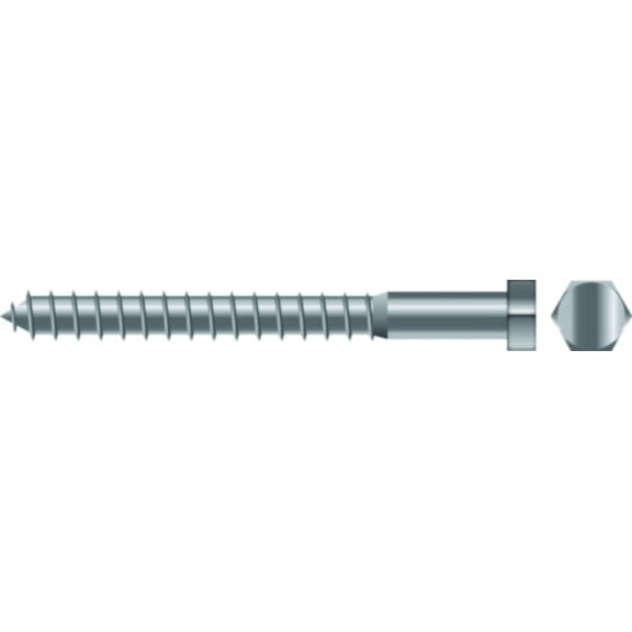SeaChoice 00178; 5/16X3 Lag Screw Stainless Steel 10/ Bag
