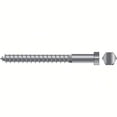 thumbnail image 1 of SeaChoice 59736; 5/16 X 1-1/2 Lag Screw 2/ Bag, 1 of 1