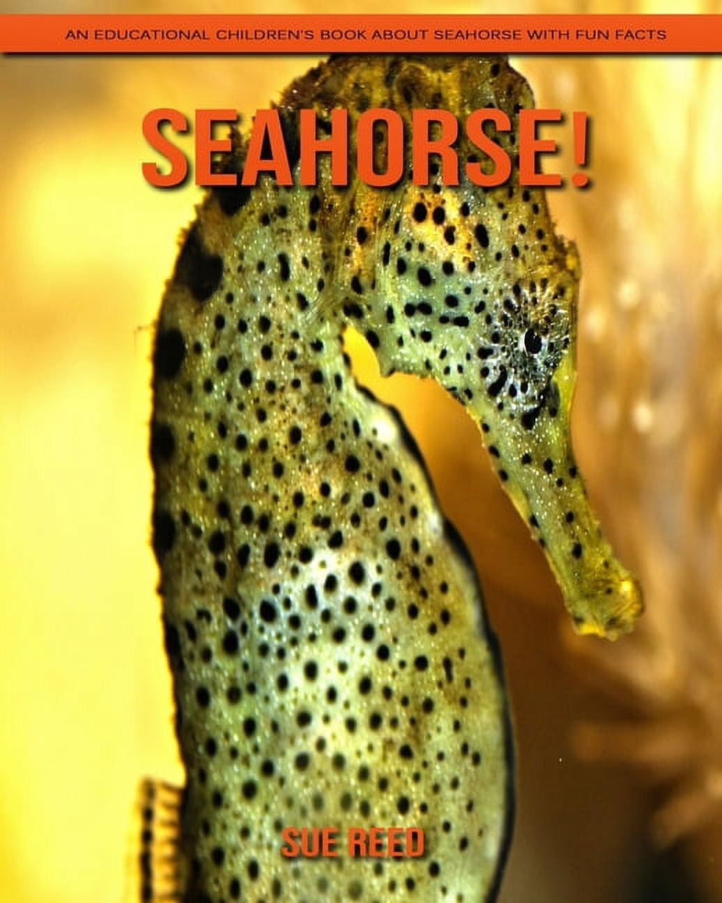 Seahorse An Educational Children S