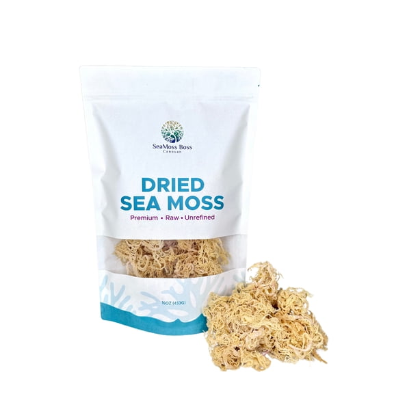 SeaMoss Boss Canouan | Dried 16oz Gold sea Moss | Ocean harvested & Sun-Dried in the Remote Grenadine Islands | Makes 300oz sea Moss Ge