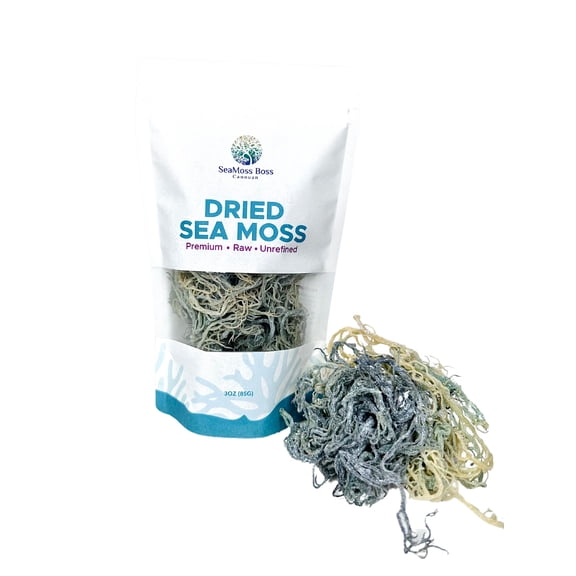 SeaMoss Boss Canouan | Dried 3oz green sea moss | ocean harvested & sun-dried in the remote Grenadine Islands | Makes 60oz sea moss gel