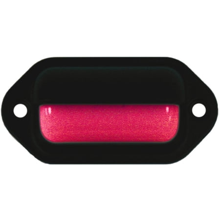 SeaSense Dual Mount 2 LED Mini Accent Light, Black/Red Light