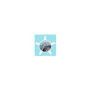 SeaStar Solutions Standard Outboard Hose Kit