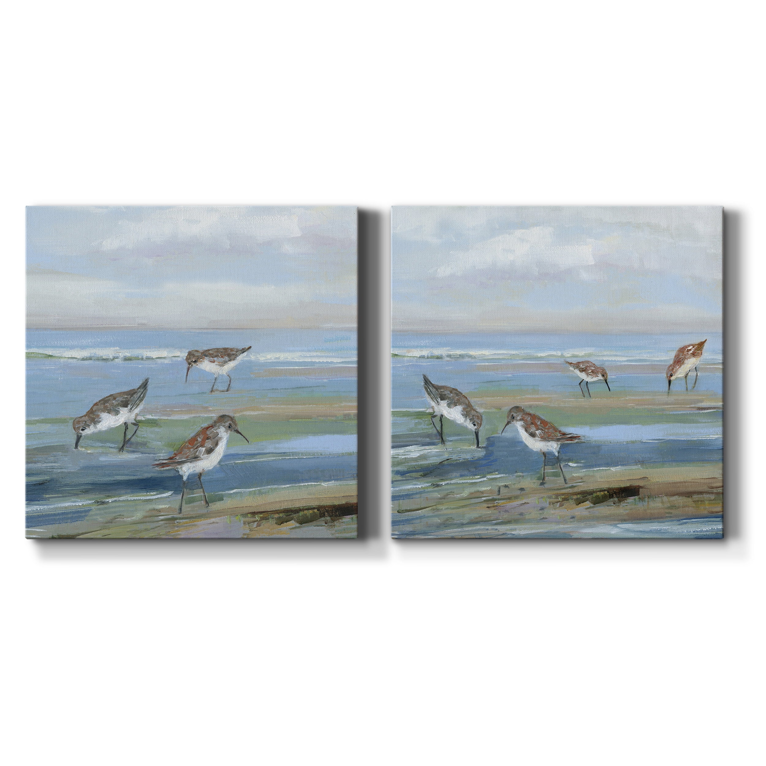 Seabird Beach I - Premium Gallery Wrapped Canvas - Ready to Hang Set of 2 - 16 x 16 Each