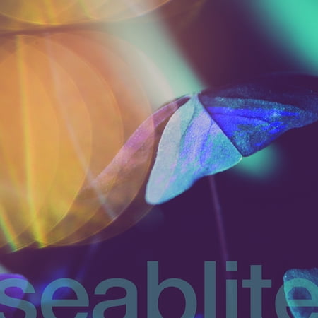 Seablite - Breadcrumbs - Rock - Vinyl [7-Inch]