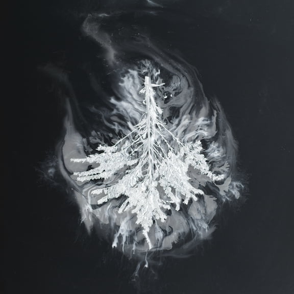 Seabuckthorn - Turns - Electronica - CD