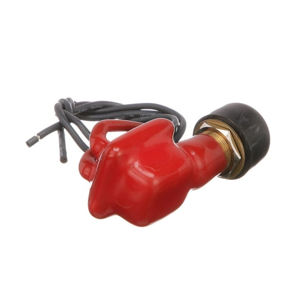 Seachoice 2-Position Off/Momentarily On Push Button Switch, 6-36V, 18 Gauge Wire Leads