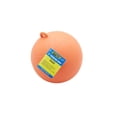 thumbnail image 1 of Seachoice Slalom/Marking Buoy, 9 In. Dia., 1 of 4