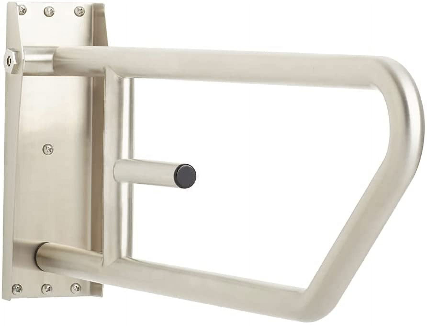 Seachrome 30" SwingUp Bathroom Handicap Grab Bar with Toilet Paper