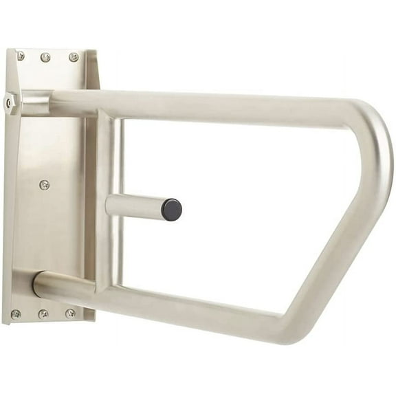 Seachrome 30" Swing-Up Bathroom Handicap Grab Bar with Toilet Paper Holder Bar, Satin Finish
