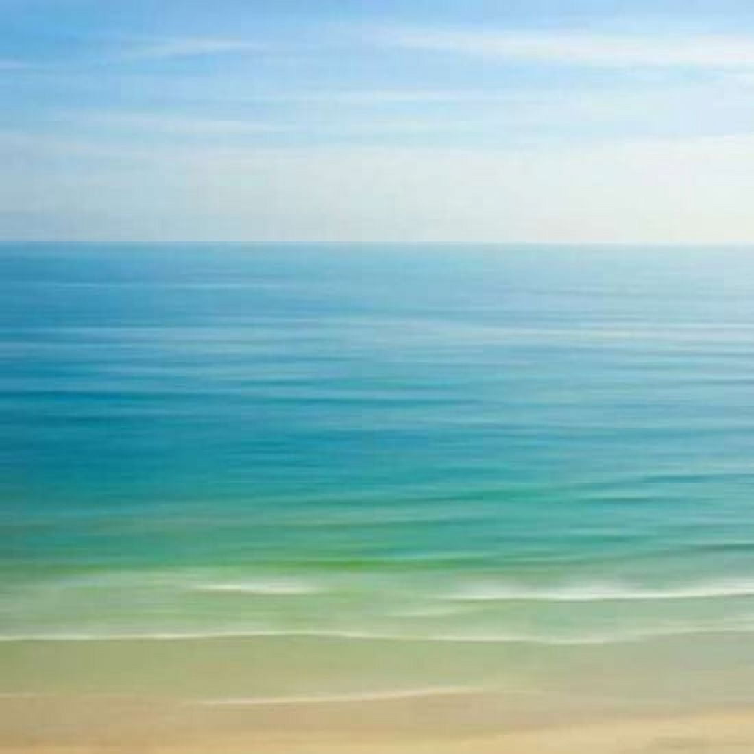 Seacoast 121 Canvas Art - David E Rowell (24 x 24)