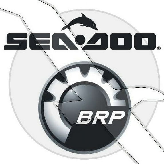 Seadoo/Sea Doo Watercraft Genuine OEM Parts O-Ring 420950870
